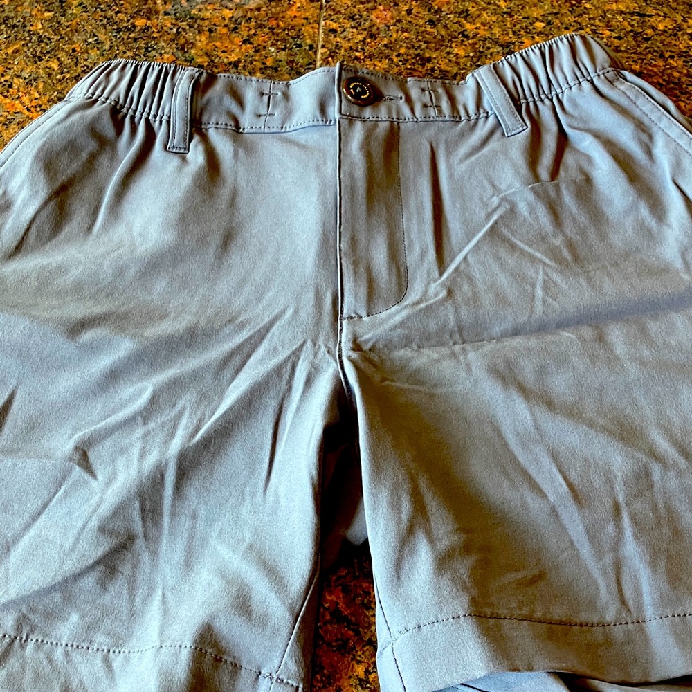 Chubbies Men's Gray Flat Front Shorts